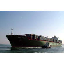 Transporte marítimo de porta a porta para Rotterdam Holanda